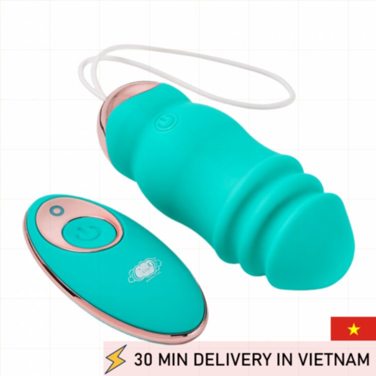 Wireless Remote Egg Vibrator Cloud 9 Quiet Strong 