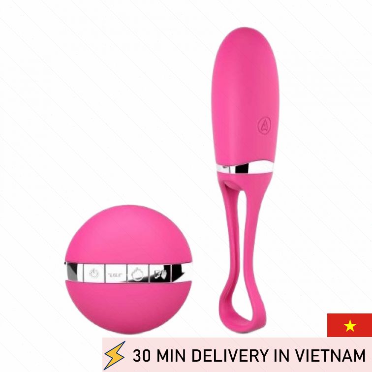 Remote Egg Vibrator Pink Secret Pleasure Toy 