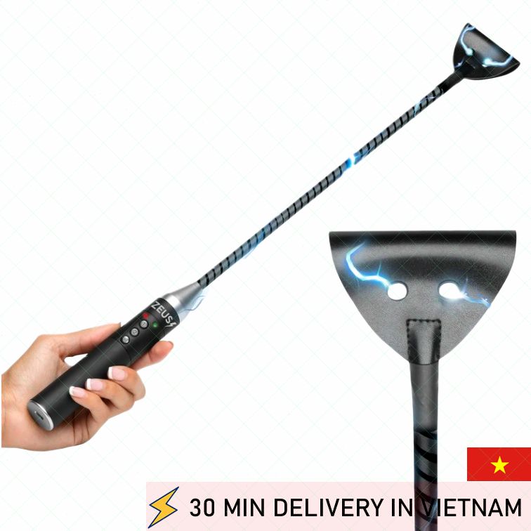Zeus Electrosex Riding Crop Electric BDSM Whip 