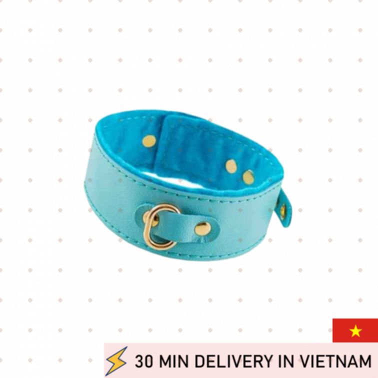 Blue Leather BDSM Collar Double Layer Fetish Wear 