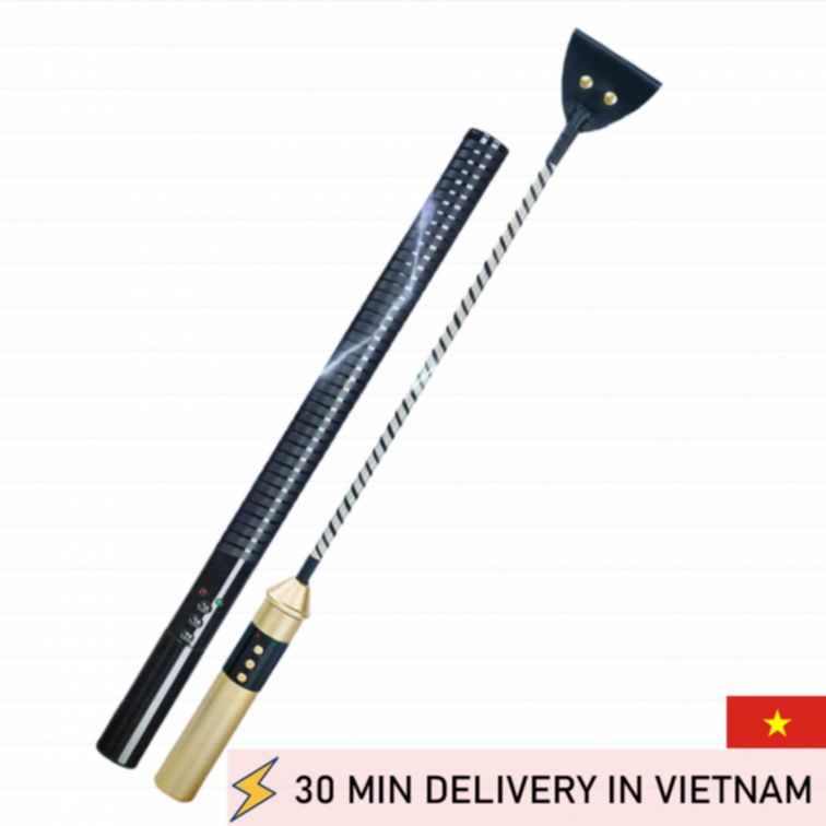 Roomfun Electric Whip BDSM Shock Play Toy 