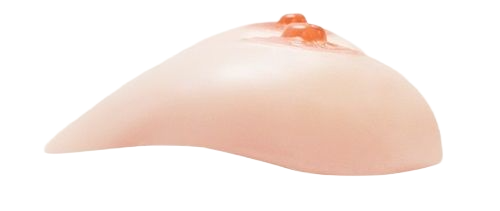  Shop bán UTOO Siêu Thực Ngực B Cup Siêu Mềm 530g  cao cấp 