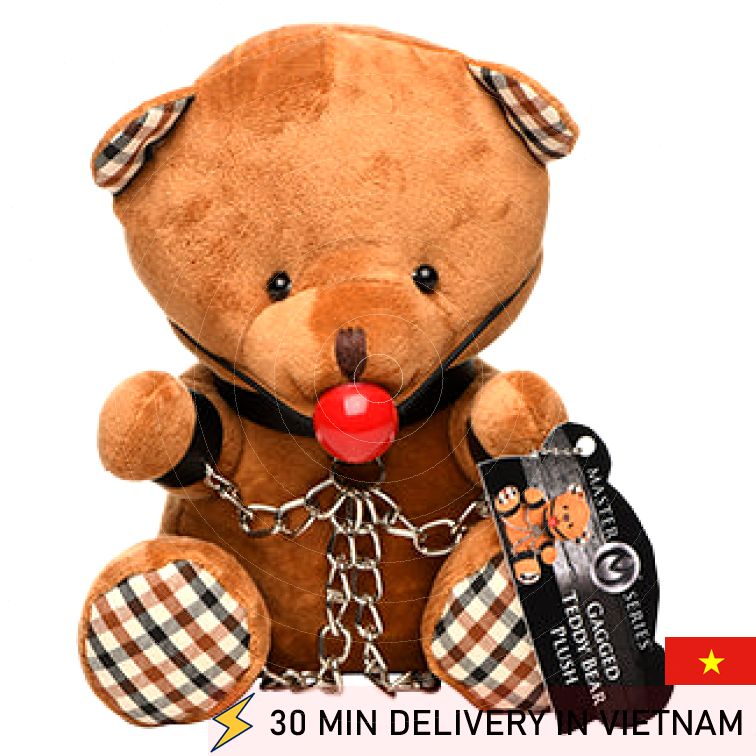 Bondage Teddy Bear Gagged Kinky Cute Toy 