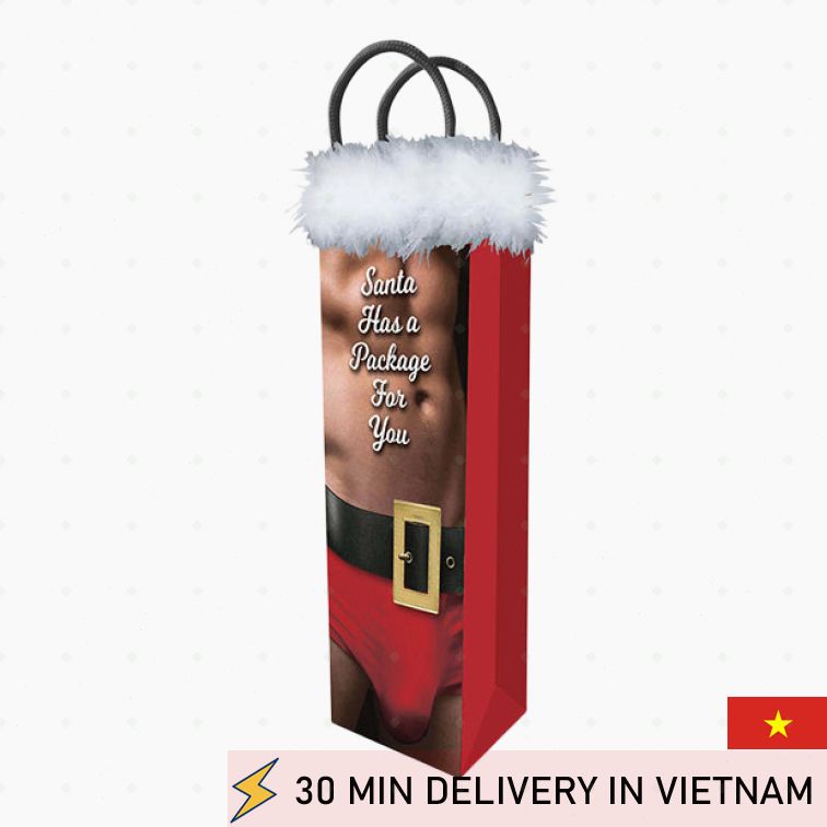Funny Santa Gift Bag Big Package Holiday Surprise 